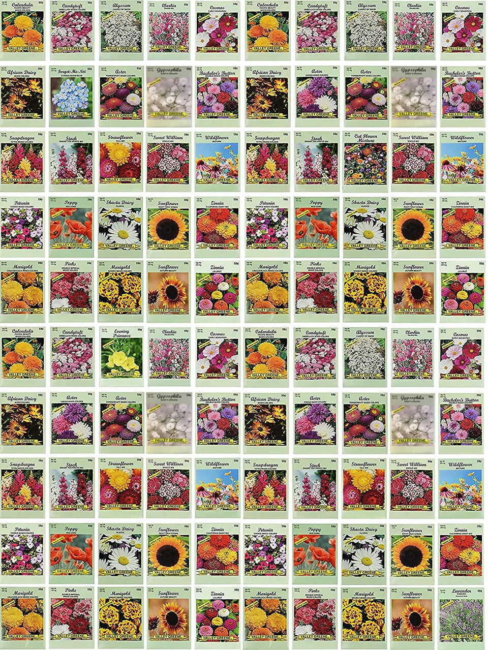 Black Duck Brand seed packets bulk display, ideal for classrooms and home gardens.