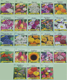 Black Duck Brand Valley Greene seed packets collection ready for vibrant garden color.