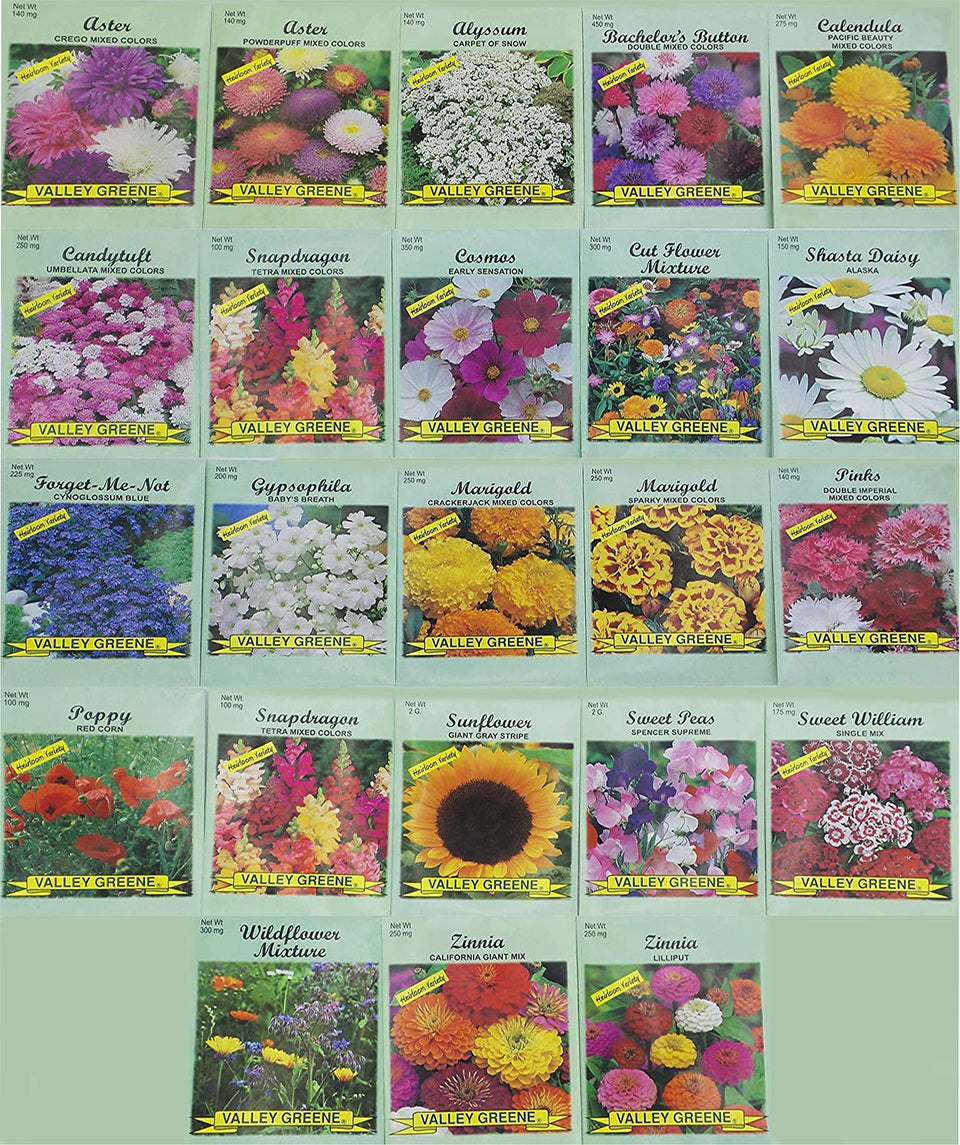 Black Duck Brand Valley Greene seed packets collection ready for vibrant garden color.