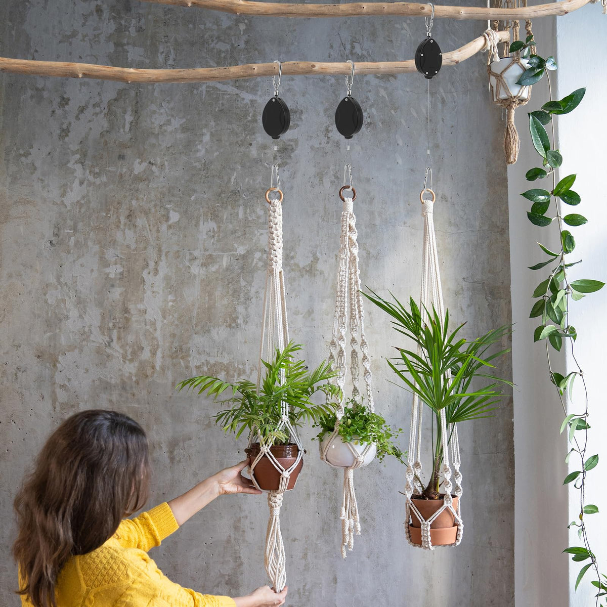 Black Elk Peak self-locking hooks secure hanging plants and bird feeders.