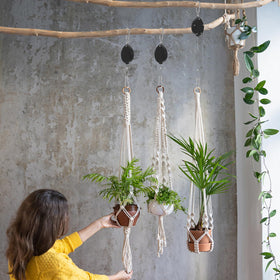 Black Elk Peak self-locking hooks secure hanging plants and bird feeders.
