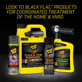 Black Flag 32-ounce concentrate bottle designed for outdoor pest management.