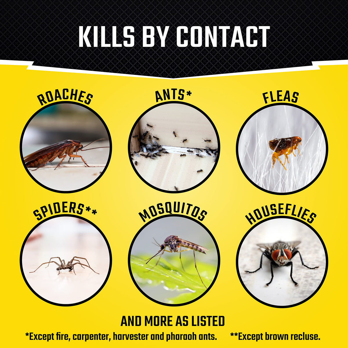 Black Flag fogger kills on contact, reducing pest activity quickly inside spaces.