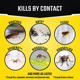 Black Flag fogger kills on contact, reducing pest activity quickly inside spaces.