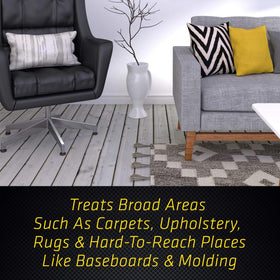Baseboards and moldings treated with Black Flag Extreme Flea Killer for full coverage
