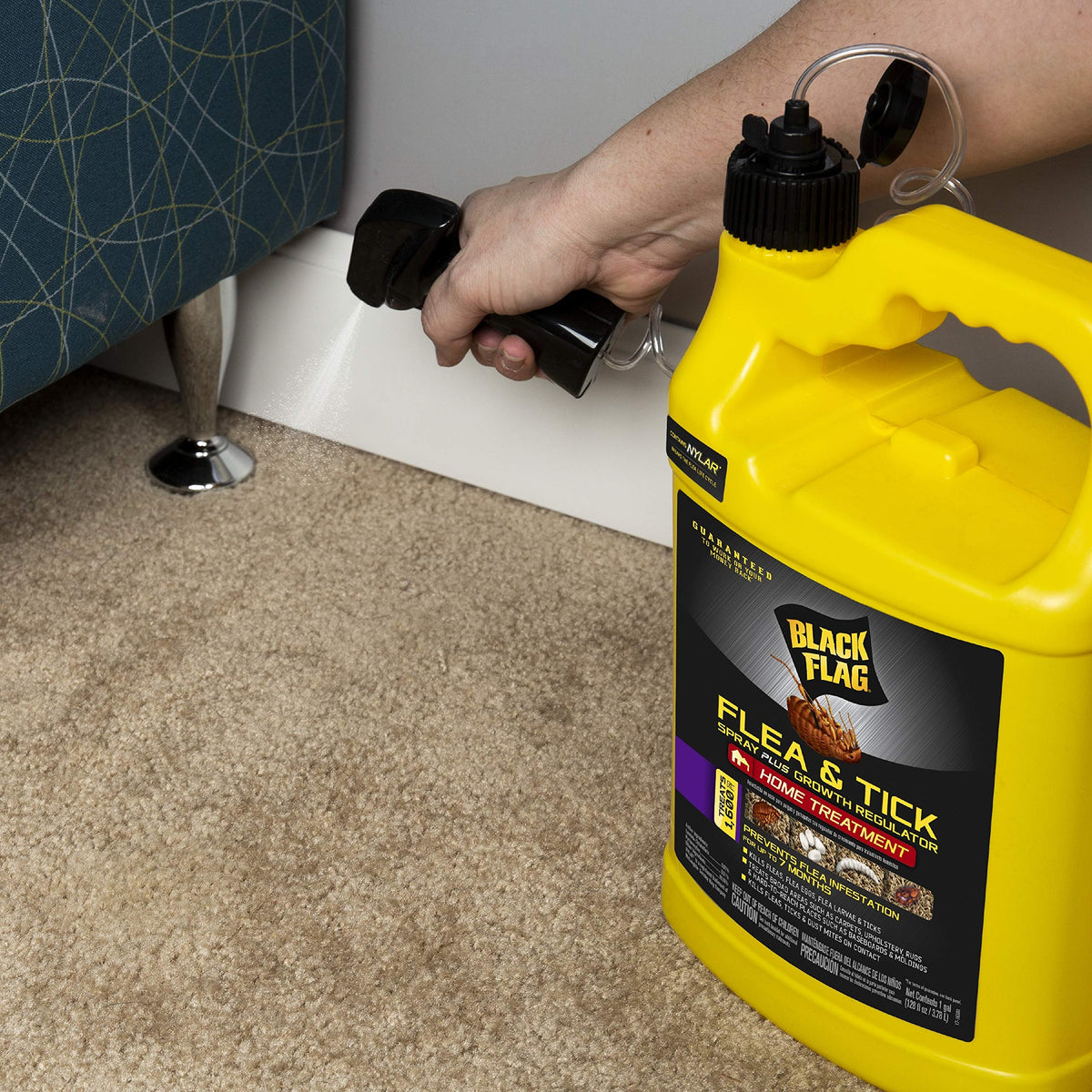 Nylar growth regulator detail in Black Flag Extreme Flea Killer for flea life cycle disruption