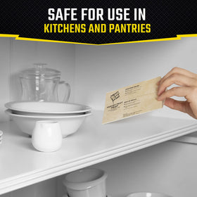Black Flag pantry pest trap placed in pantry corner protects dried goods.