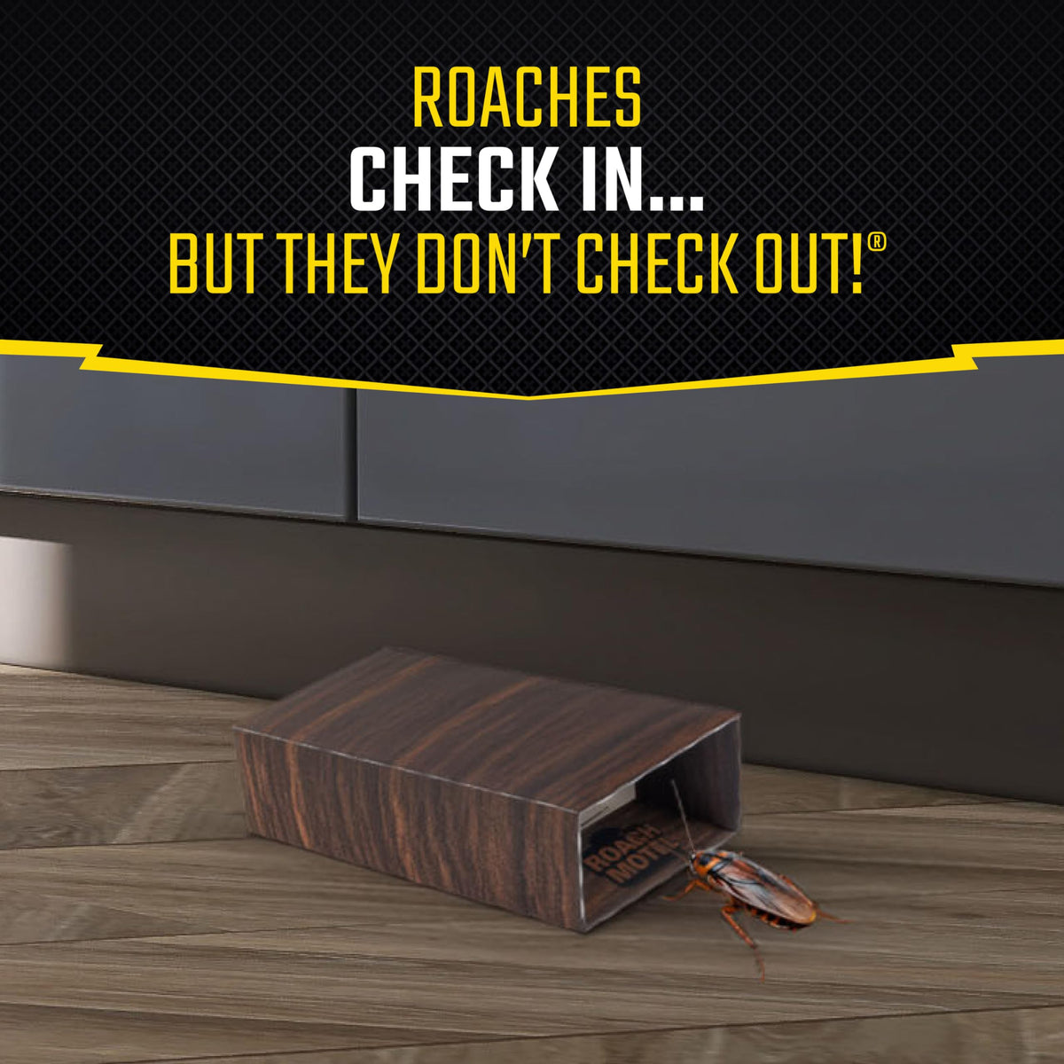 Black Flag Roach Motel trap kitchen corner placement supports discreet pest control