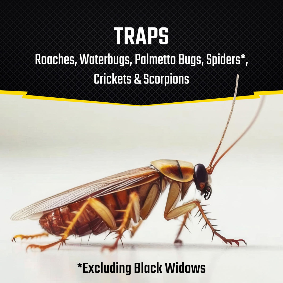 Black Flag Roach Motel trap side view highlights pesticide-free design for homes