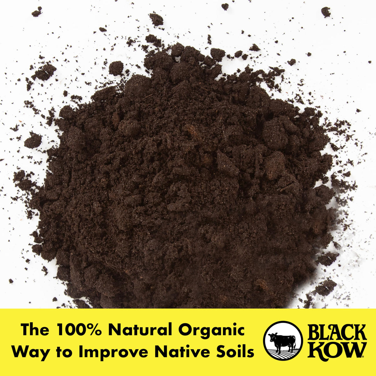 Black Kow compost tea prep enriched by manure enhances soil biology.