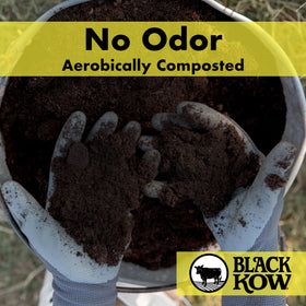 Black Kow manure being added to soil boosts moisture retention and nutrient availability.