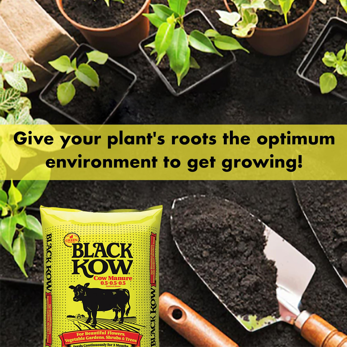 Black Kow supports root-zone moisture with billions of beneficial bacteria.