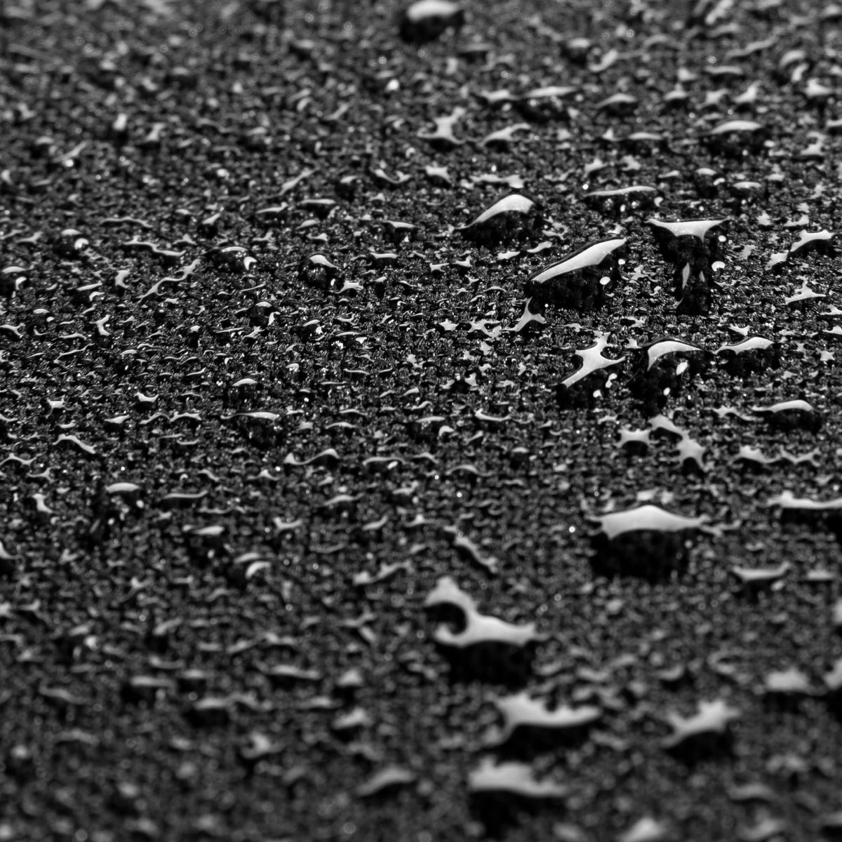 Blackstone 5091 cover highlights reinforced stitching for durability.