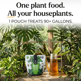 Bless Your Soil Big Green Leaves 90-gallon mix illustrates generous yield from one pouch.