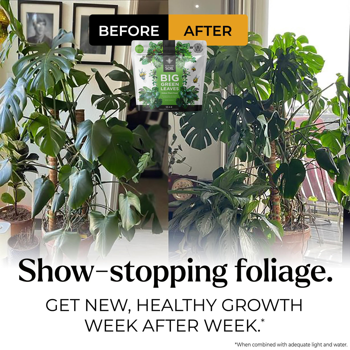 Bless Your Soil Big Green Leaves concentrated powder highlights potent nutrients for efficient feeding.