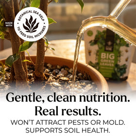 Bless Your Soil Big Green Leaves sea kelp ingredient showcases natural growth boosters in roots and leaves.