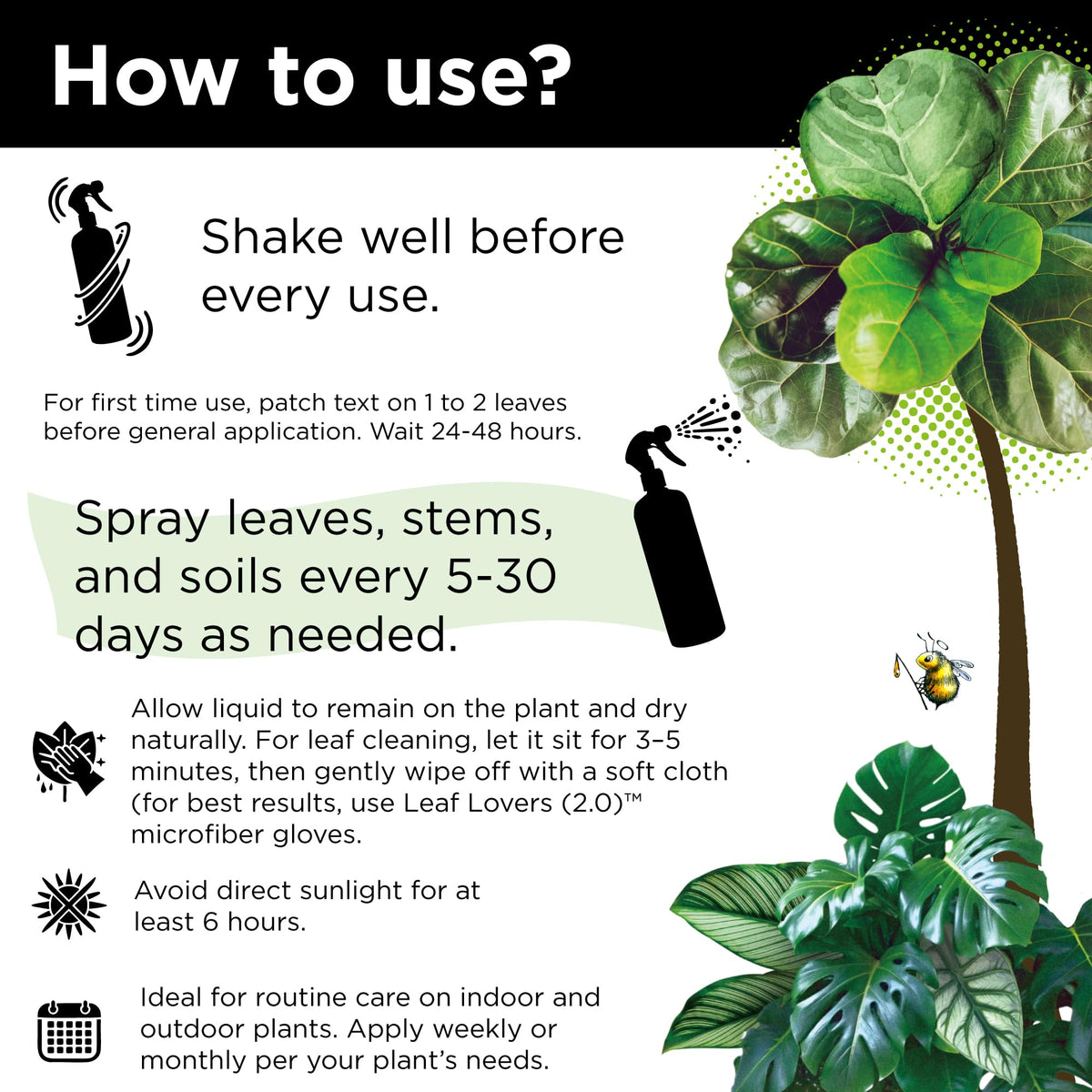 Bless Your Soil Big Leaf Energy indoor use with vibrant houseplants