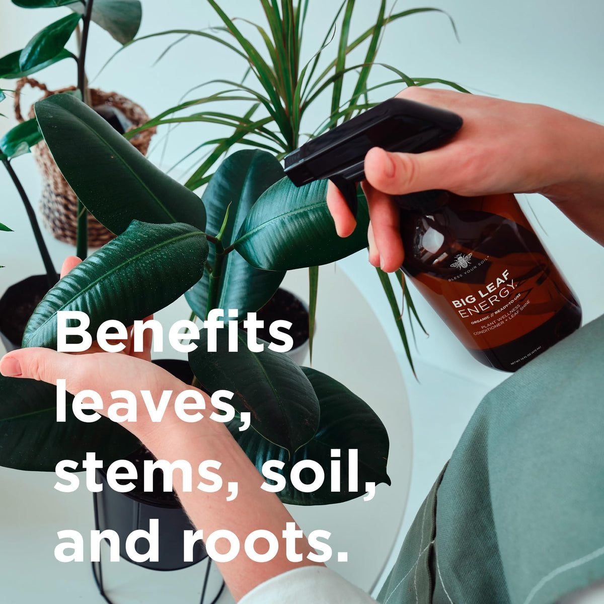 Bless Your Soil Big Leaf Energy label closeup highlighting the essential oil blend
