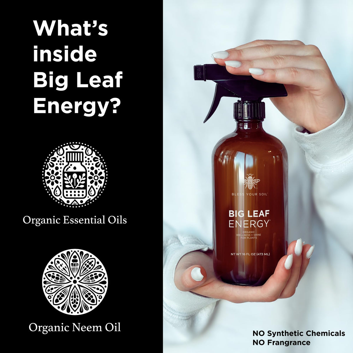 Bless Your Soil Big Leaf Energy leaves being sprayed indoors for shine and protection