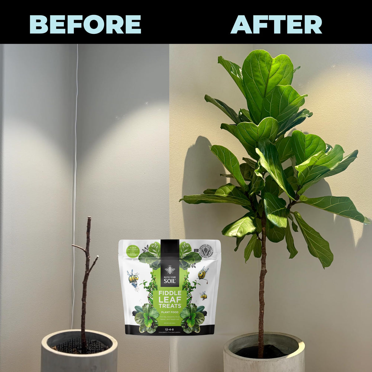 Bless Your Soil Fiddle Leaf Fig Plant Food pouch reduces waste and ships lighter