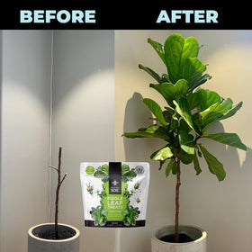 Bless Your Soil Fiddle Leaf Fig Plant Food pouch reduces waste and ships lighter