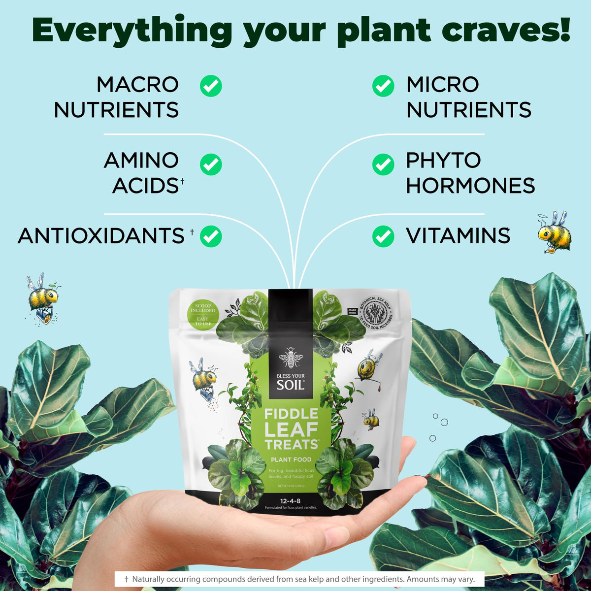 Bless Your Soil Fiddle Leaf Fig Plant Food works in semi-hydroponic, soil, and native substrates