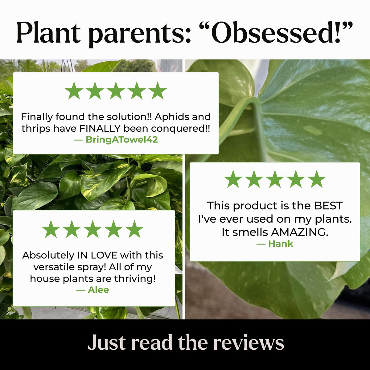 Bless Your Soil Neem Oil Spray eco-friendly formula supports sustainable gardening.