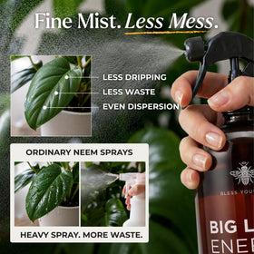 Bless Your Soil Neem Oil Spray for indoor plants offers gentle, plant-safe care.