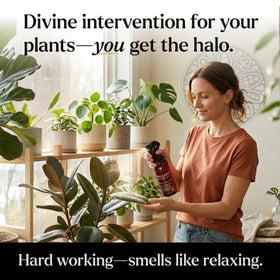 Bless Your Soil Neem Oil Spray made in USA highlights quality craftsmanship.
