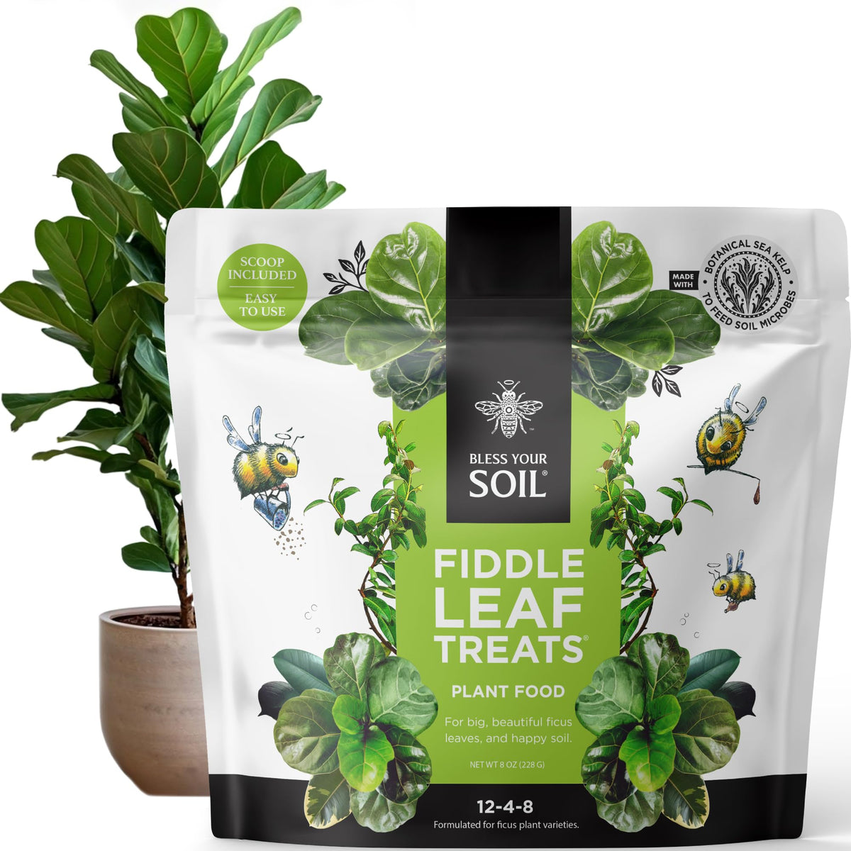 Bless Your Soil packaging for Fiddle Leaf Fig Plant Food showing compact, low-waste design