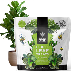 Bless Your Soil packaging for Fiddle Leaf Fig Plant Food showing compact, low-waste design