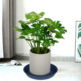 Bleuhome blue outdoor ready plant saucer supports patio use