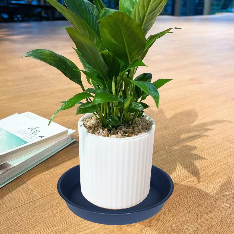 Bleuhome blue 12 inch plant saucer water catcher keeps pots dry