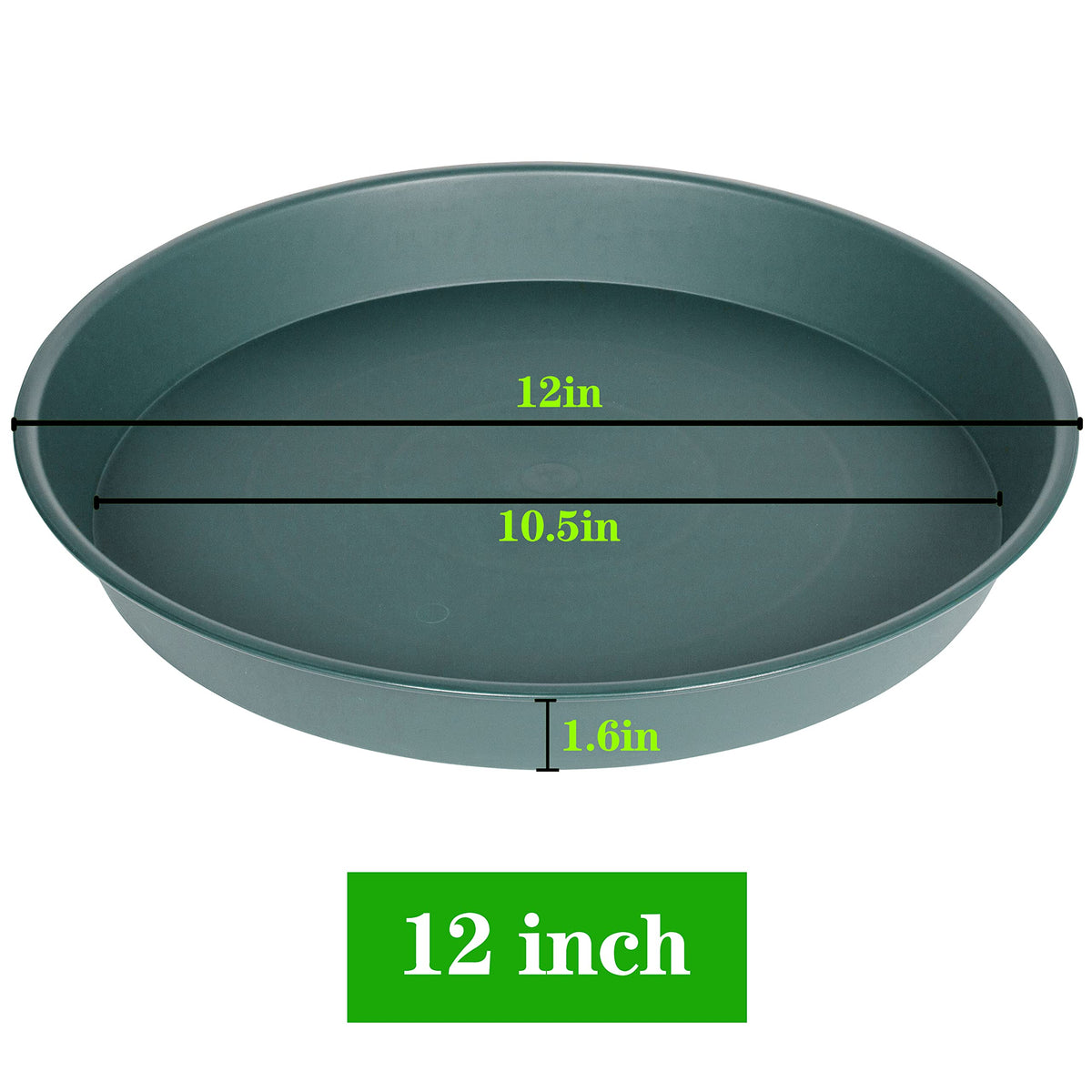 Bleuhome 12-inch green bird bath bowl, water detail, ideal for outdoor bird watching.