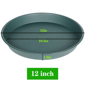 Bleuhome 12-inch green bird bath bowl, water detail, ideal for outdoor bird watching.