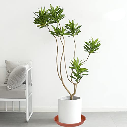 Bleuhome 2-pack packaging ideal for symmetric garden setups