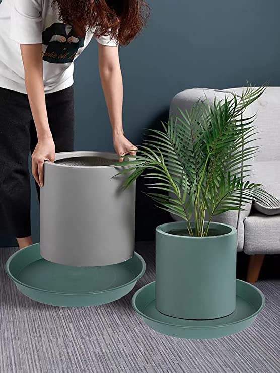 Bleuhome 8-inch green bird bath bowl water-fill view, attract birds to your garden.