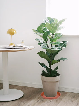 Bleuhome easy-clean surface makes refilling quick and simple