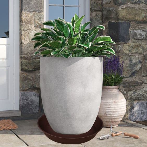 Bleuhome versatile saucer used as bird bath or feeder in garden.