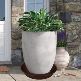 Bleuhome versatile saucer used as bird bath or feeder in garden.