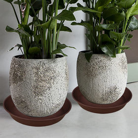 Bleuhome durable PP plastic construction ensures long lasting use.