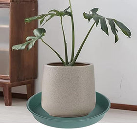 Bleuhome garden birdbath full view, versatile outdoor decor for plants and birds.