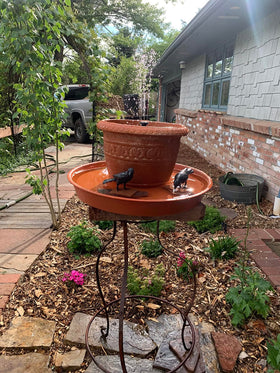 Bleuhome indoor outdoor plant saucer ready for any weather.