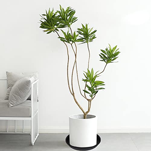 Bleuhome matte-finish saucer blends with modern indoor decor