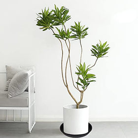 Bleuhome matte-finish saucer blends with modern indoor decor