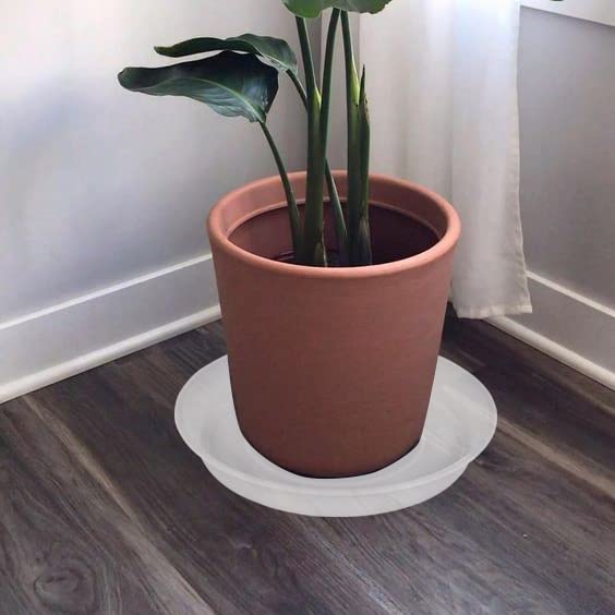 Bleuhome matte-finish saucer adds modern minimalism to your planter setup
