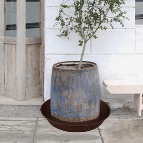 Bleuhome value pack of 2 brown plant saucers for multiple spots.