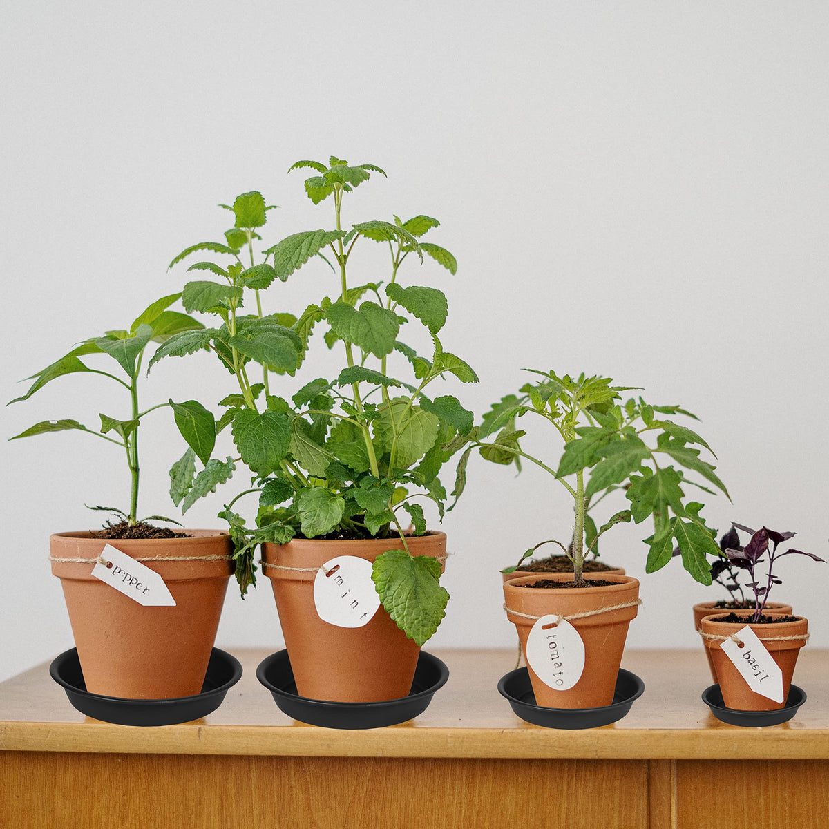 Bleuhome pebble-texture saucer adds natural style to any planter setup.