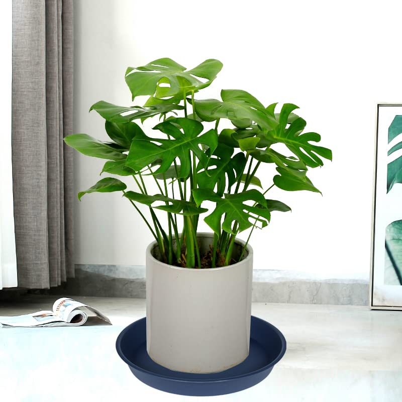 Bleuhome durable 12-inch blue plant saucer under pots