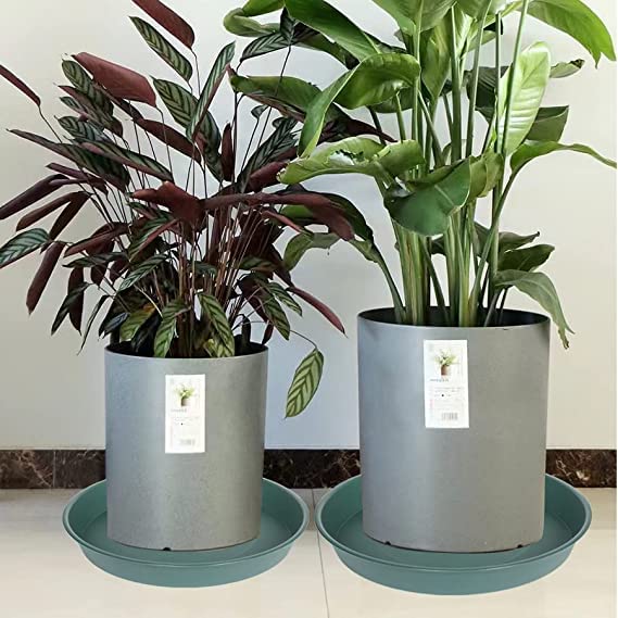 Bleuhome 12-inch green plant saucer, edge detail, durable tray for long-lasting use.